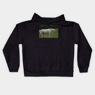 Wild Horse Kids Hoodie